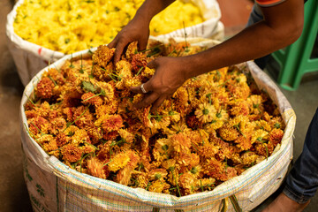 Adult man shifting desiccated orange marigolds at Goa trading in India. Dried flowers selling at Indian commerce. 