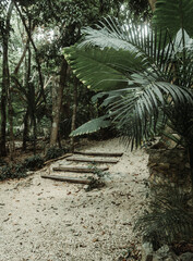 White trail with stair surrounded by tropical green forest with soft light on a cloudy day in Tulum with moody tones 