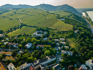 An aerial panorama of Vienna Nussdorf with vineyards rows in summer