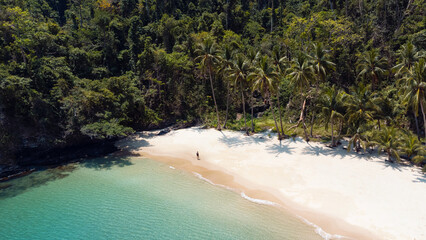 Podróżnik idący po pięknej plaży, rajska wyspa z palmami i turkusowa woda. - obrazy, fototapety, plakaty