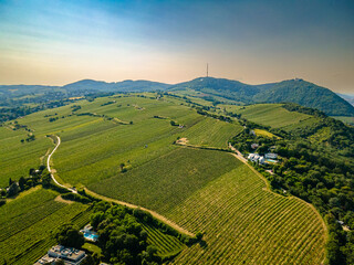 An aerial panorama of Vienna Nussdorf with vineyards rows with view on Danube