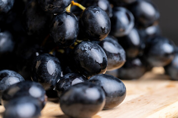 Unwashed blue grapes in the dust