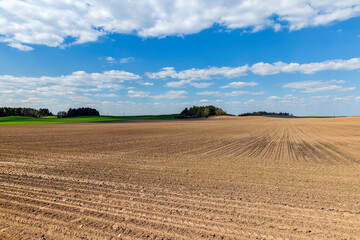 Fototapeta premium plowed soil in the field in the spring season