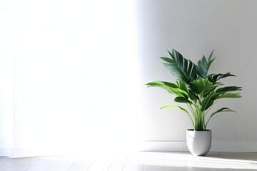 Plant and vase in the interior, Minimalistic light background (Ai generated)
