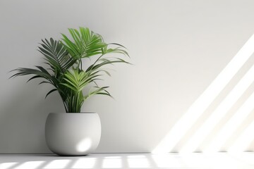 Fototapeta na wymiar Plant and vase in the interior, Minimalistic light background (Ai generated)