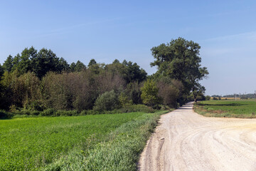 Rural road for cars and transport