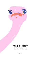 Modern Art Boho style posters