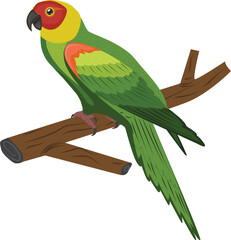 parrot on a branch © VTECH
