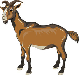 goat on brown 