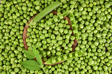 Fototapeta na wymiar Background of green peas. Pods of green peas on a background of peeled peas. Flat lay. 