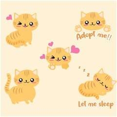 set de ilustraciones vectoriales de un gato naranja lindo y en diferentes poses 