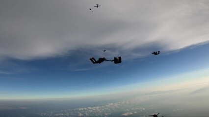 Skydiving team work above above the port of Santos - Powered by Adobe