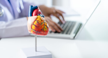 Doctor consult patient on laptop with anatomical model of human heart Cardiologist supports the...
