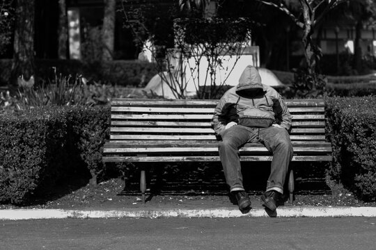 sleeping man sitting on park bench with the face down in front of garden
