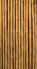 The pattern of natural bamboo wood used to decorate.