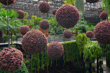 Plants and flowers of sky garden