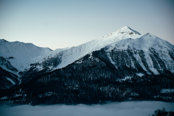 snow covered mountains