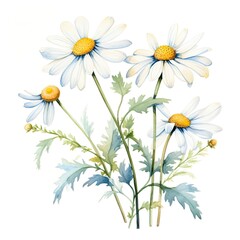 Fototapeta premium Colorful watercolor daisy flowers illustration on a white background. Generative AI