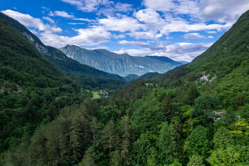Fototapeta na wymiar Alpine landscape with green forest in Predil Pass, Italy. Aerial drone view