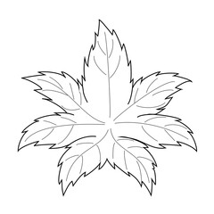 Marijuana leaf. Coloring. Black outline on a white background.
