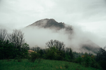 misty morning in the mountains
