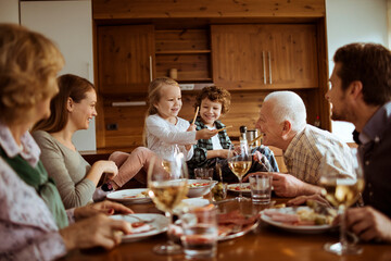 Multigenerational family having a lunch together at home