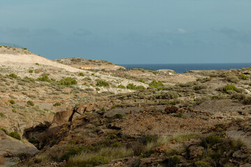 view from the top of the hill