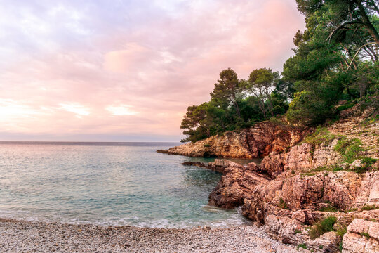 amazing wild beach in beautiful green forest with nice coast and scenic sky