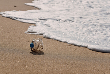 A plastic bottle lies on the sandy beach and pollutes the sea. The concept of pollution control of the seas and oceans by plastic.