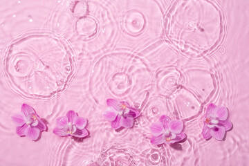 Orchid flowers are floating, stains from a drop on the water