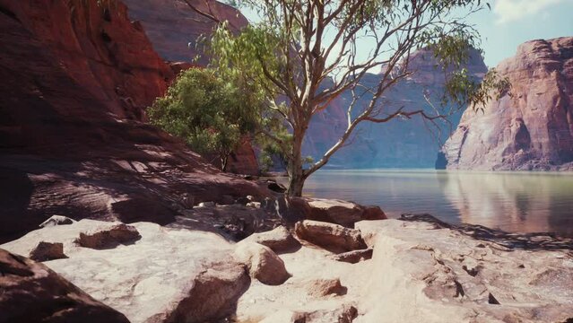 landscape with red sandstone rock and river