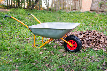 Metal wheelbarrow for trash, garbage, dry leaves. Collection of garbage or harvest in the country.