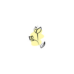 hand drawn flower illustration