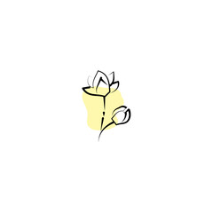 hand drawn flower illustration