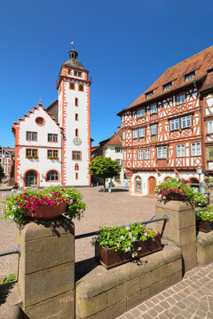 Town hall and Palmsches Haus on market square, Mosbach, Neckartal Valley, Odenwald, Baden-Wurttemberg, Germany
