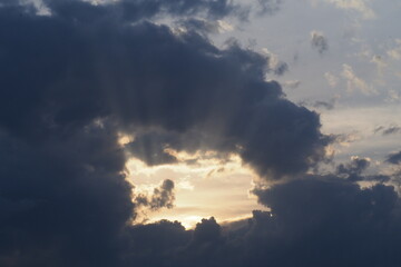 Obraz premium OLYMPUS DIGITAL CAMERA