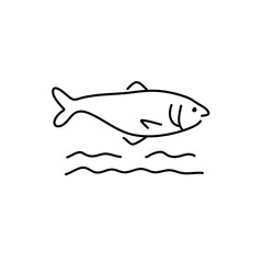 Fish modern line design style icons