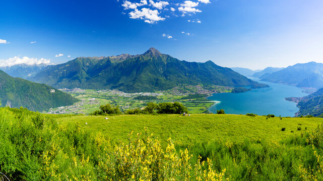 Panoramic of Monte Legnone and Alto Lario from flowering meadows above Lake Como, Bugiallo, Como province, Lombardy, Italian Lakes