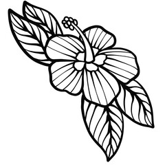 Obraz premium Hibiscus Flower Outline
