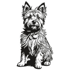 Cairn Terrier dog head line drawing vector,hand drawn illustration with transparent background