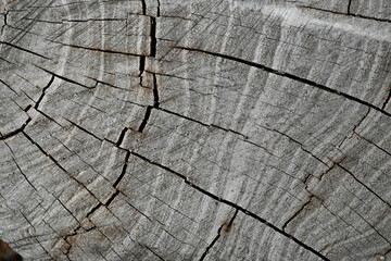 cracked timber texture, gray textured wooden material, brown wooden substance, Old wood texture, gray wood texture, gray wood background, 