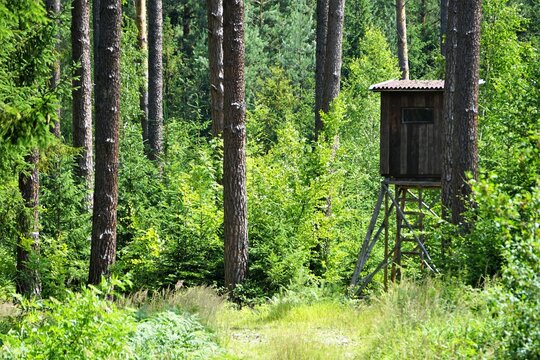 BudkaBilder StockFotos & Videos. Adobe Stock