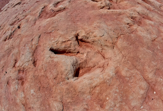 Dinosaur tracks at a tourist attraction on the Navajo Indian Reservation near Tuba City, Arizona, United State of America
