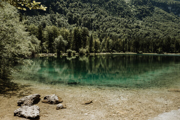lake in the forest