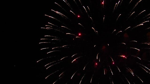 Bright Gold And Purple Sparks In The Form Of Firework Flowers On A Black Night Sky