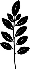 Leaf Illustration