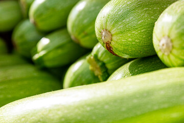 Lots of fresh zucchini on the counter in the market. Health, vitamins and organic products. Close-up.