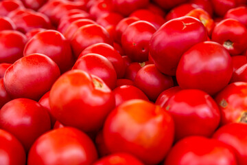 Lots of ripe tomatoes on the counter in the market. Vitamins, health and organic products. Close-up. Selective focus.
