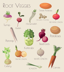 Set of Vector Illustrations of Root Vegetables