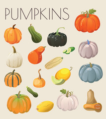 Set of Vector Illustrations of Pumpkins